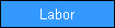 Labor