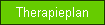 Therapieplan